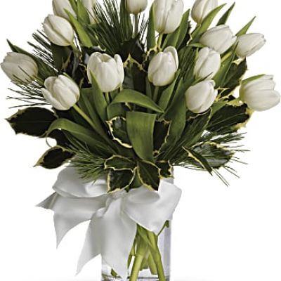 <ul id="tabs-pdp" class="nav nav-tabs" data-tabs="tabs">
<li id="descriptionTab" class="active"><a href="https://www.teleflora.com/bouquet/tulips-and-pine?prodID=P_T12Z114A&skuId=T12Z114A&zipMin=&showAllSkus=true#description" data-toggle="tab">DESCRIPTION</a></li>
<li id="sizesTab"><a href="https://www.teleflora.com/bouquet/tulips-and-pine?prodID=P_T12Z114A&skuId=T12Z114A&zipMin=&showAllSkus=true#sizes" data-toggle="tab">SIZES</a></li>
</ul>
<div id="tabs-pdp-content" class="tab-content">
<div id="description" class="tab-pane fade active">
<div id="mark-3" class="m-pdp-tabs-marketing-description">Give a gift of simple winter beauty. Send a bouquet of white tulips that are as pure as fresh-fallen snow, accented with just a touch of fragrant white pine. It's the essence of the season, captured in a vase.</div>
</div>
</div>